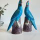 Pair of phenix birds chinese porcelain early 20th century