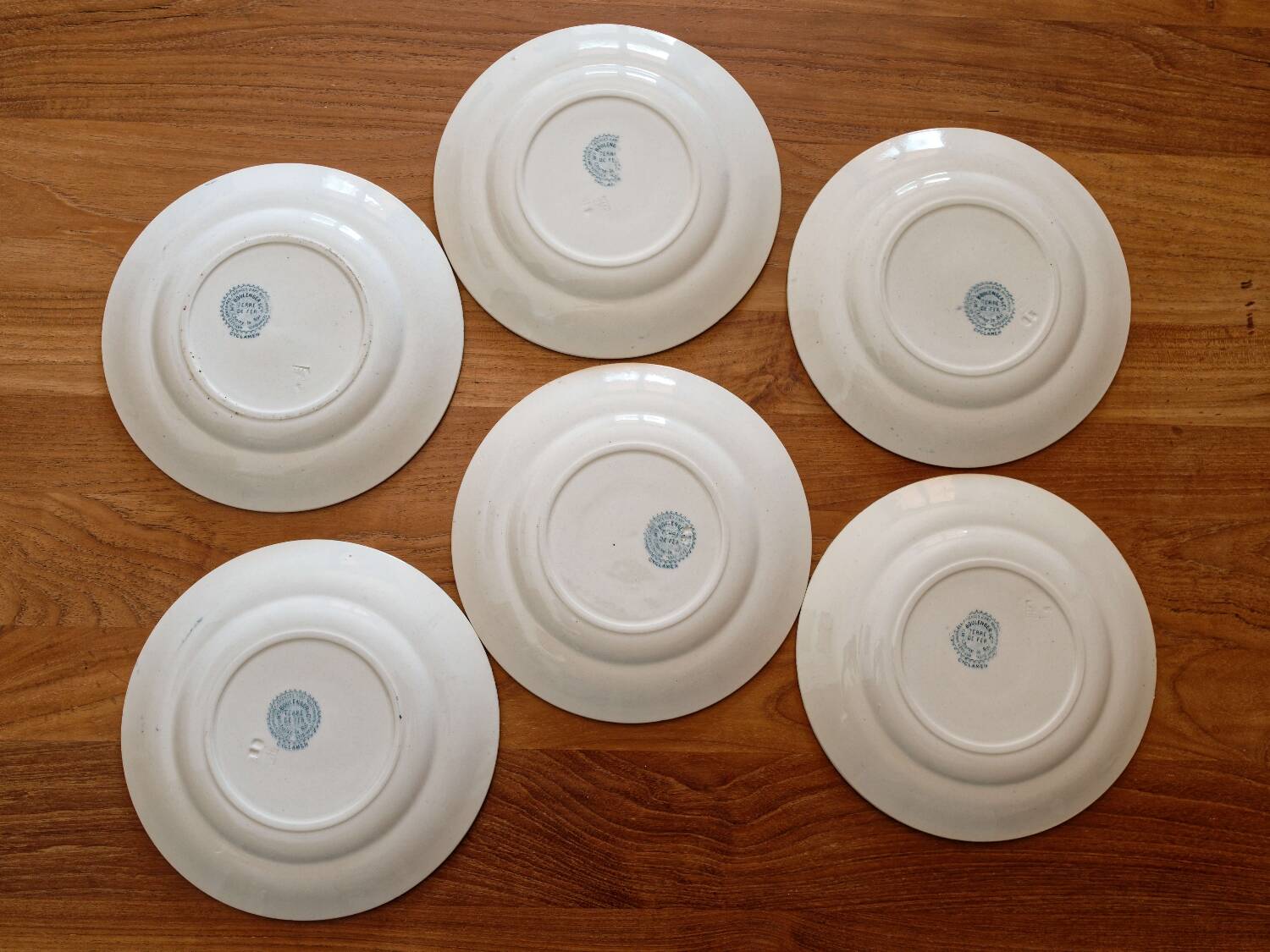 Set of 6 iron earth dessert plates Choisy le Roi model Cyclamen
