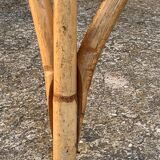 Chair and armchair in vintage rattan 1950