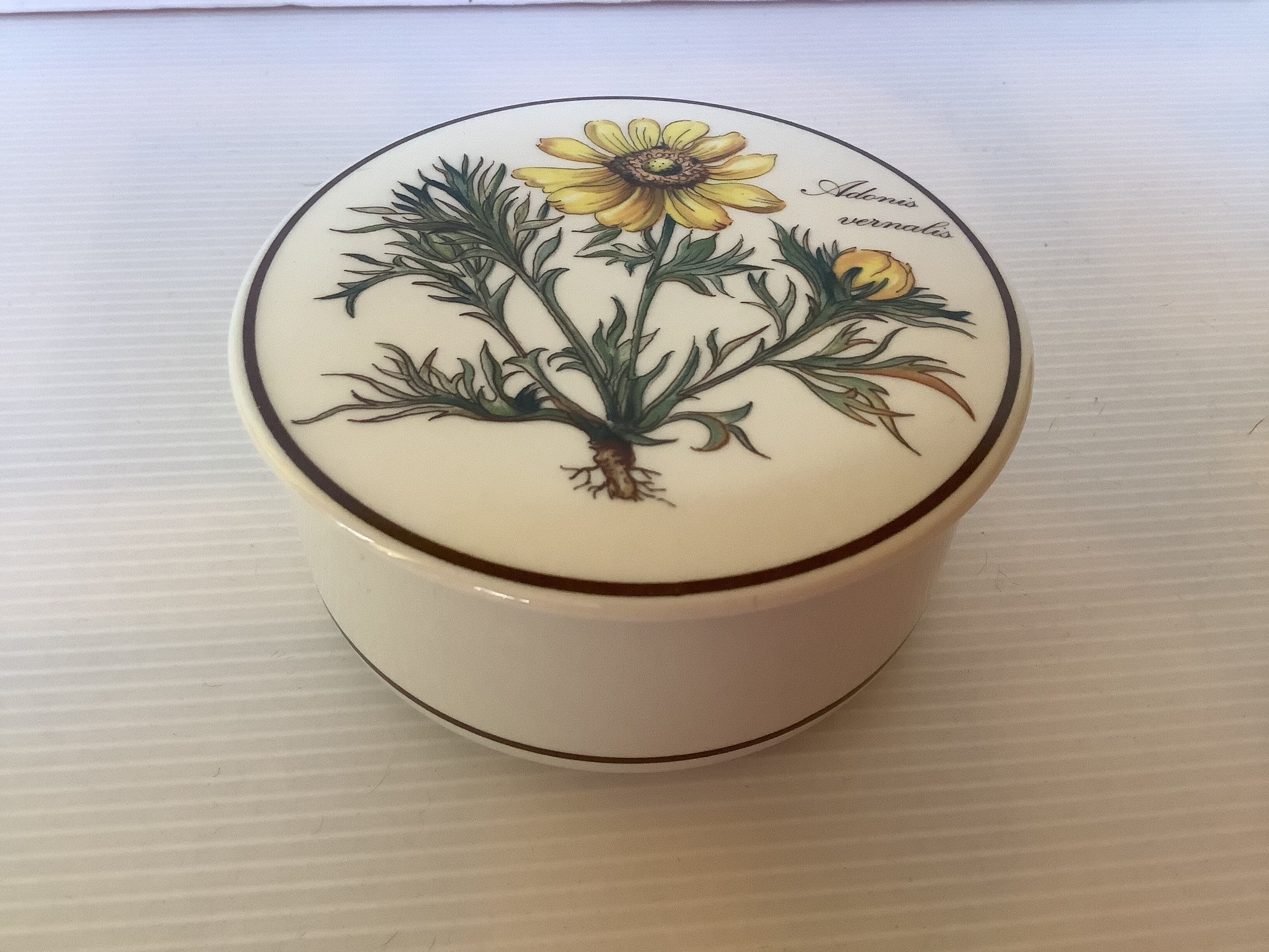 Villeroy and Boch yellow flower box