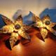 Pair of floral wall sconces in brass, design by Willy Daro, 1970.