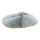 Natural White Fungia Coral