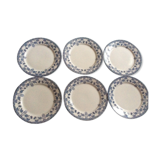 Lot of 6 flat plates hazelnuts of sarreguemines
