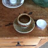 Series of 5 cockroaches