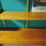 Modular wall shelf in Paolozzi teak