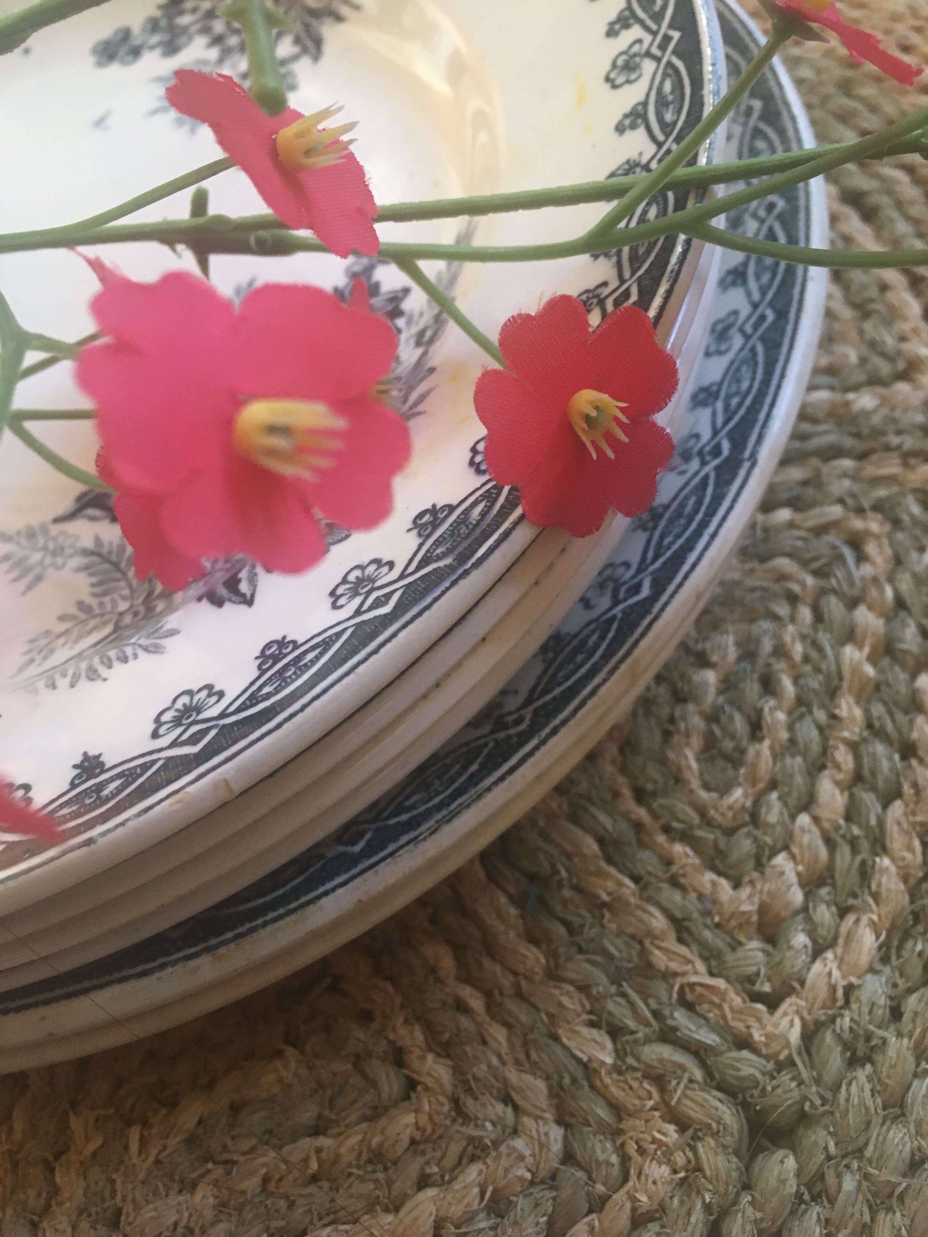 6 plates iron earth St Amand Margot.