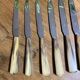 PRODUCT BHV - Set of 6 small vintage horn knives