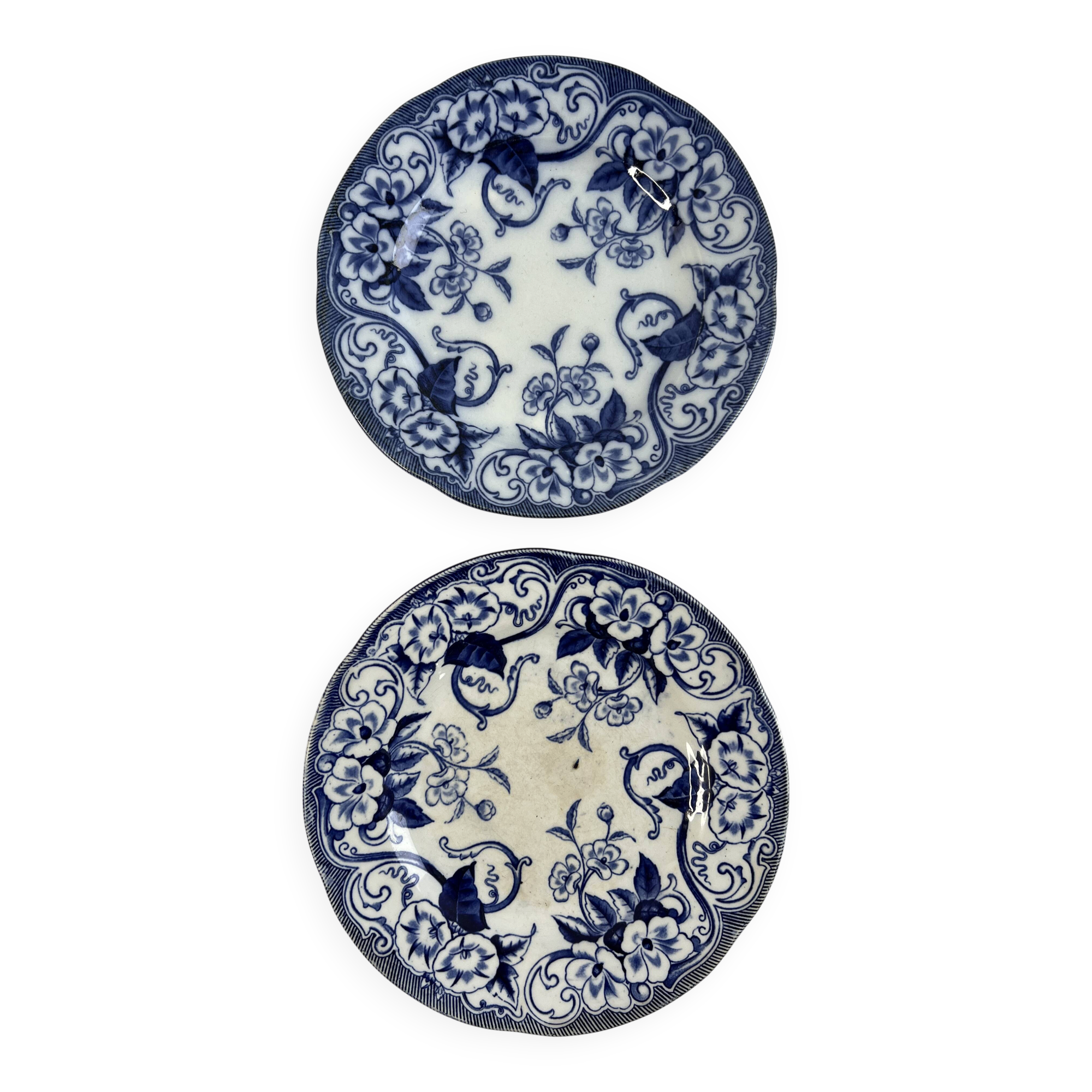 Iron Earth Creil and Montereau Flora set of 2 flat plates