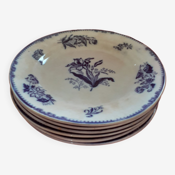 6 Old plates to serve. England.