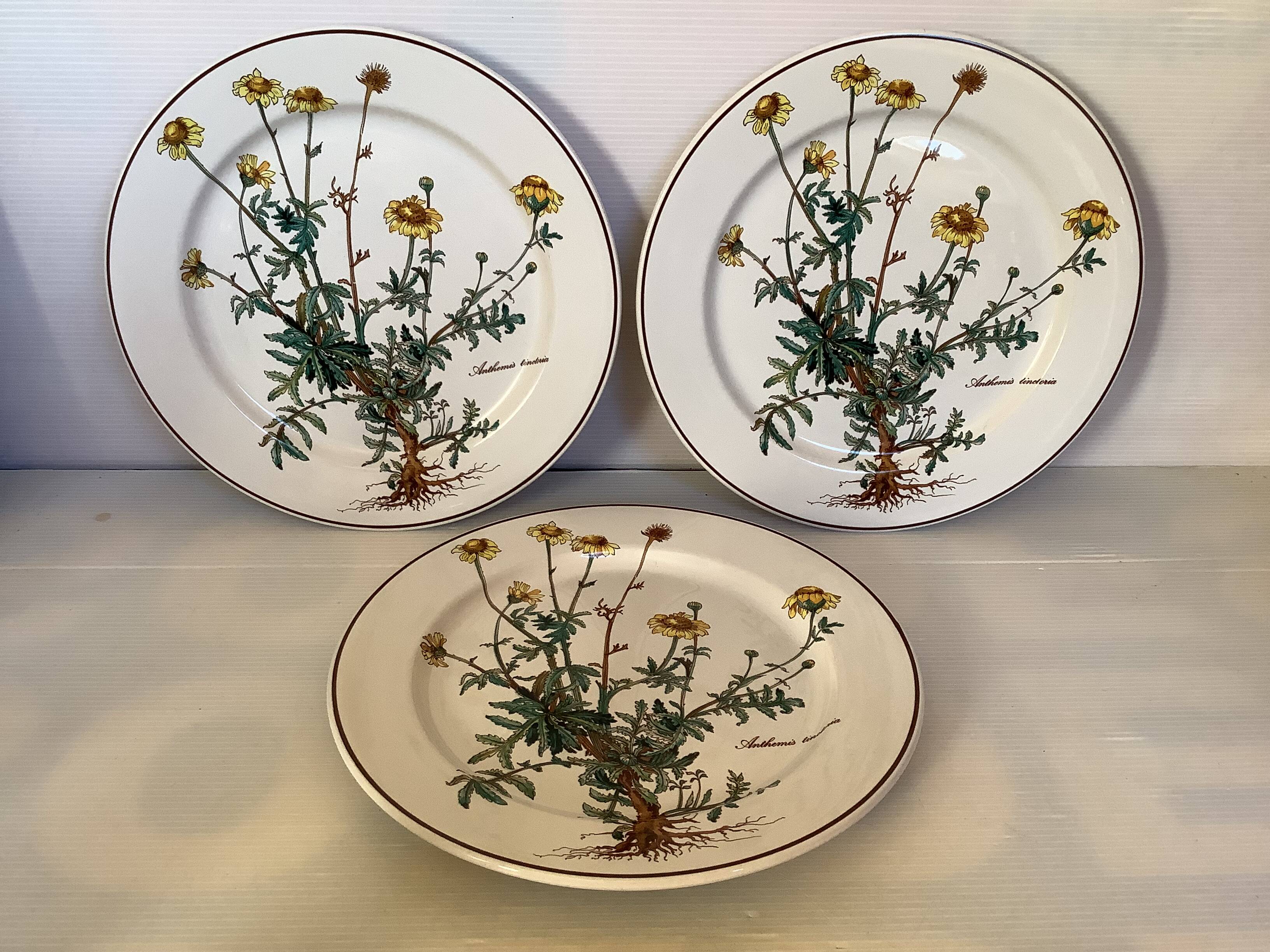 Set of three flat plates with botanical flowers by Villeroy & Boch.