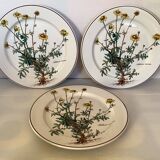 Set of three flat plates with botanical flowers by Villeroy & Boch.