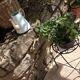 Plant holder "chair" in wrought iron and earthenware / vintage 60s-70s