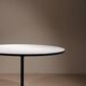 Dining & Work Table by Charles and Ray Eames for Herman Miller | USA 1950s
