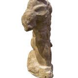 Roman torso in stone anatomical model ecorche