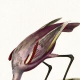 Poster for "Pink Spatula", based on an old engraving from 1842.