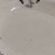 6 earthenware soup plates Moulin des Loups et Hamages