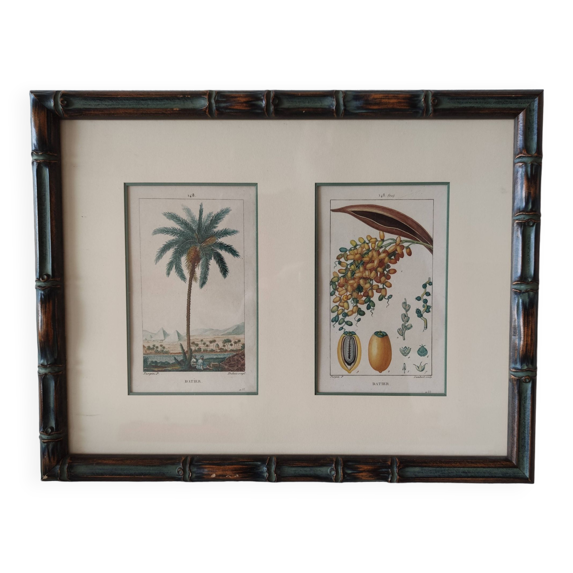 Datier framed botanical engraving by Turpin circa 1800