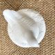 Sucrier oiseau en opaline blanche