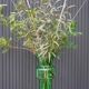 Large green Tang-Li vase by Morales Schildt for Kosta