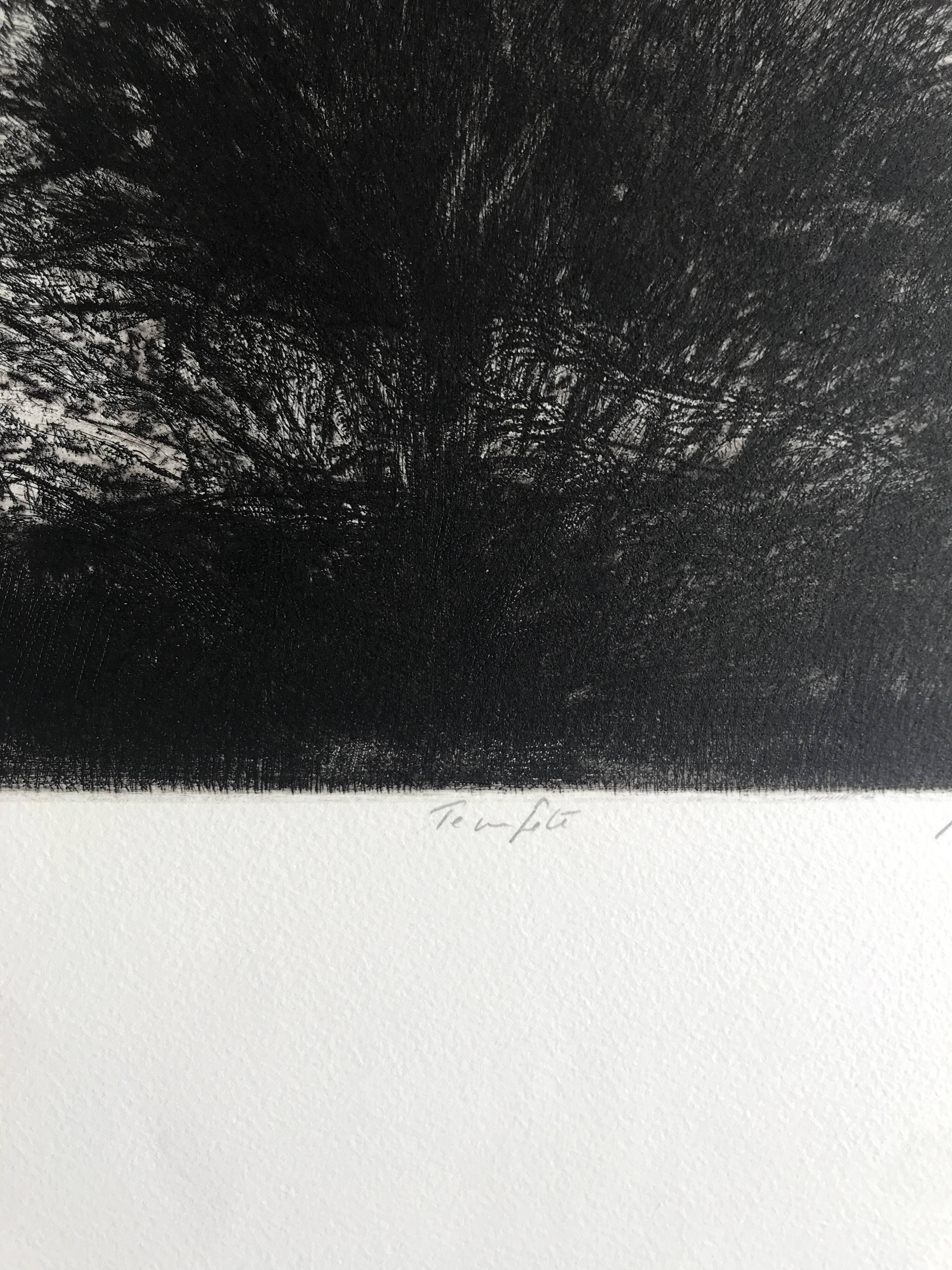 Nicole BOUHARMONT, Tempête, 2013. Original signed drypoint