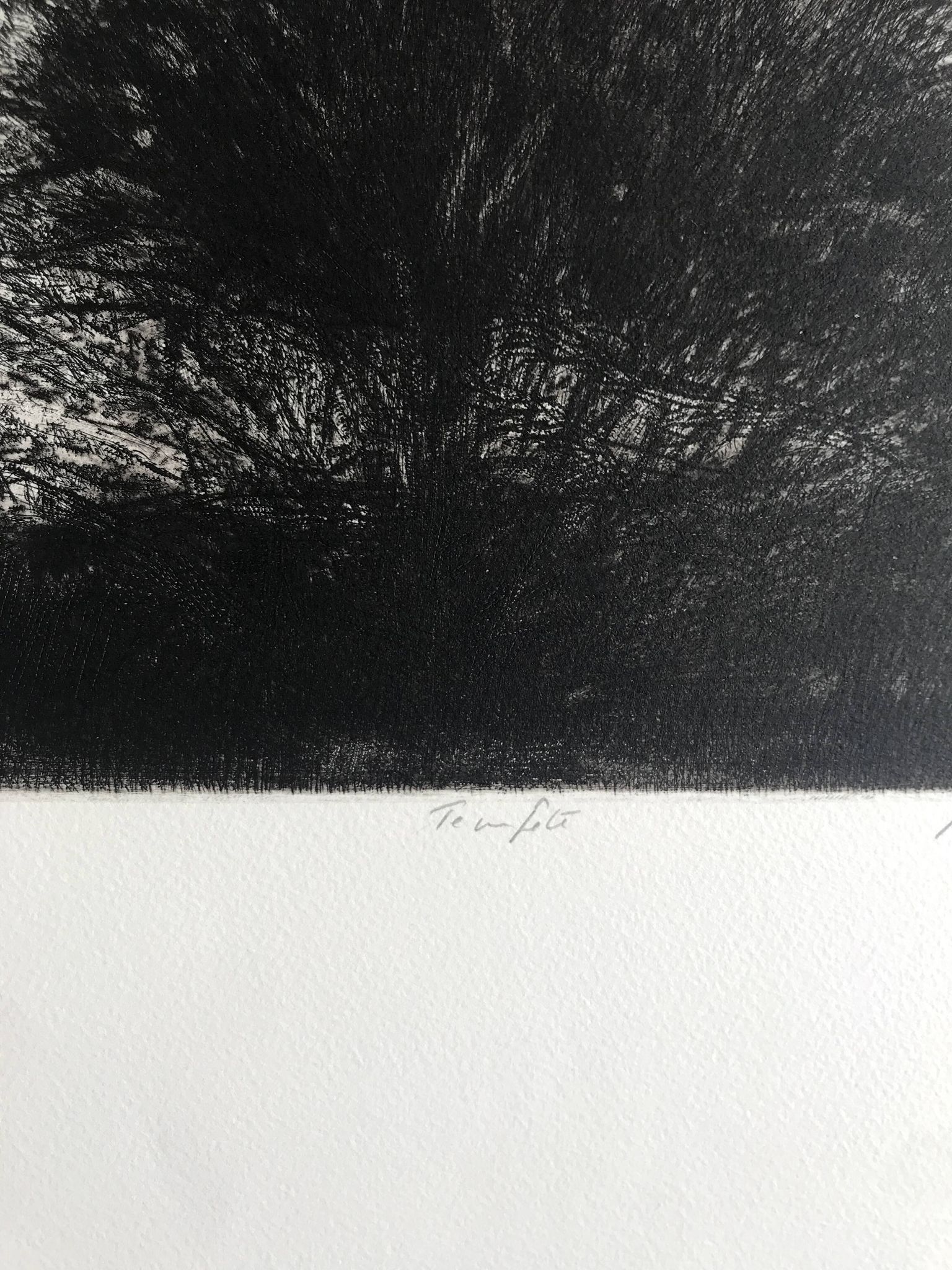 Nicole Bouharmont, tempête, 2013, pointe sèche originale signée