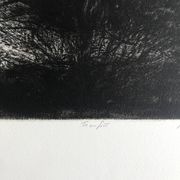 Nicole Bouharmont, tempête, 2013, pointe sèche originale signée