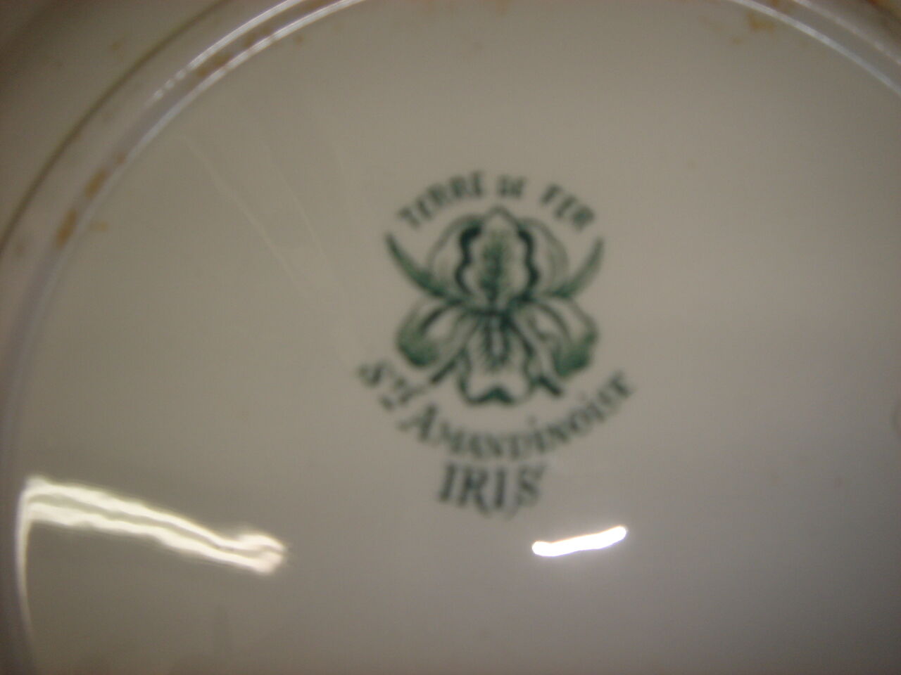 Lot of earthenware 6 plates Terre de Fer model Iris, 1940