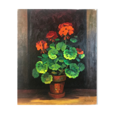 Geraniums