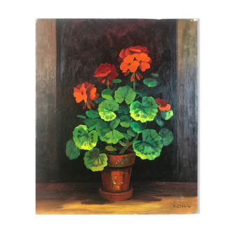 Geraniums