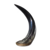 Polished beef horn on brass base