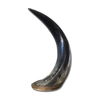 Polished beef horn on brass base