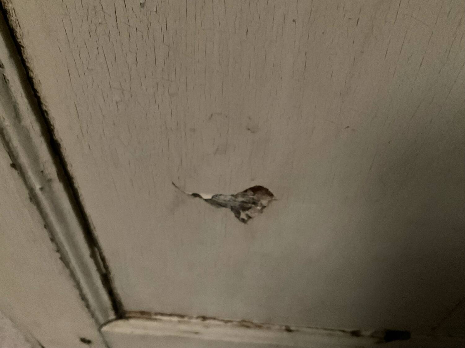 Old glass door L 92 x H 205