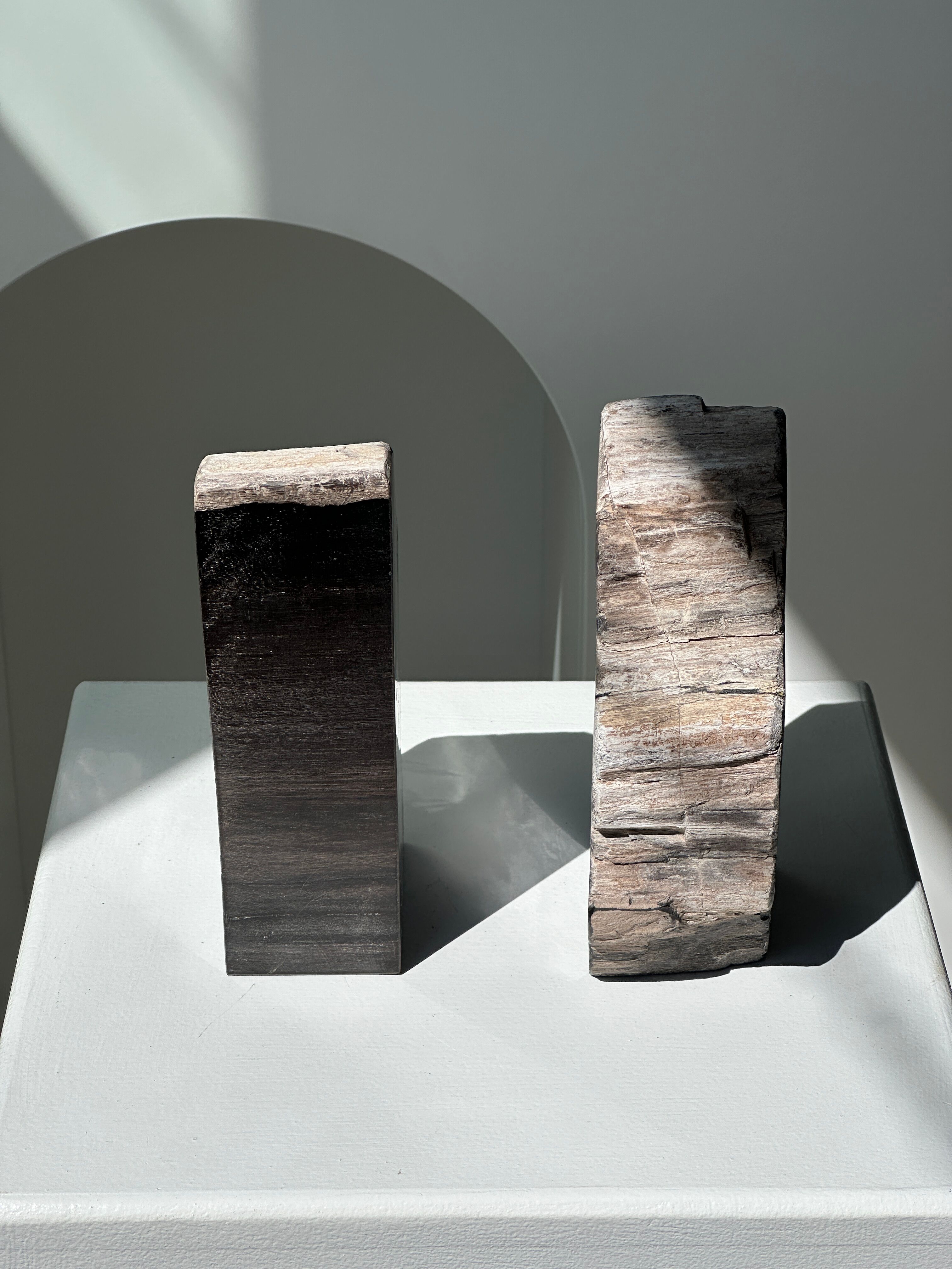 Black petrified wood bookend H17 L17 P6