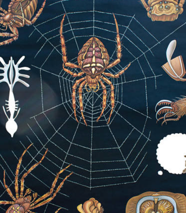 Affiche par Jung-Koch-Quentell 1974