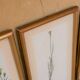 Series of 5 vintage botanical boards