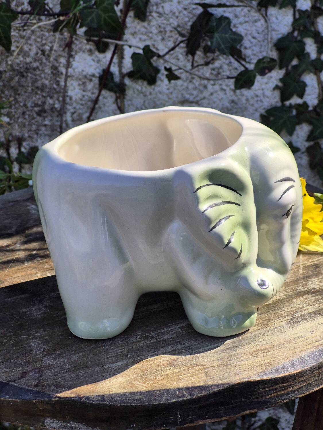 Elephant plant pot