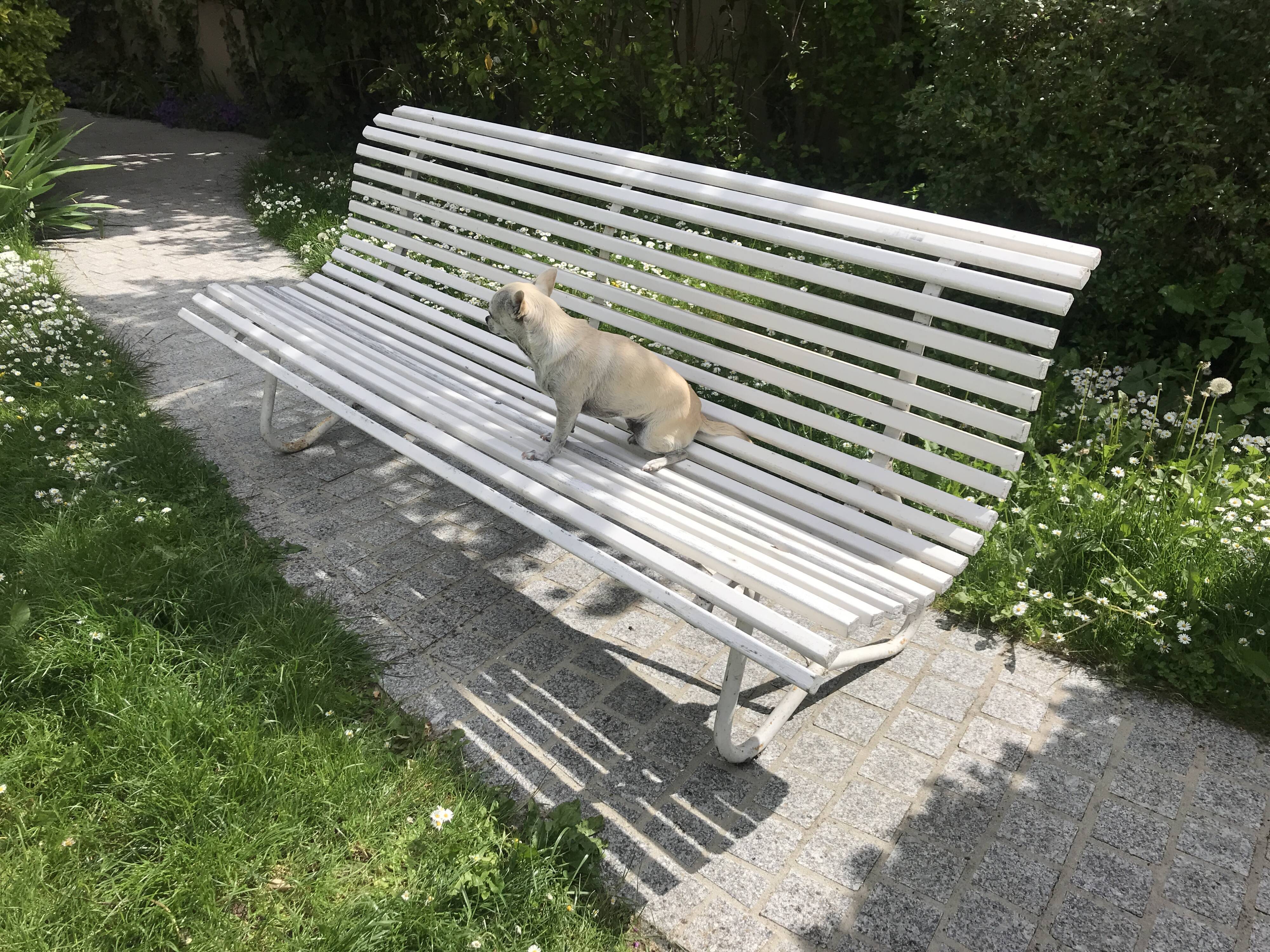White metal Garden Bench and wooden slats 1970