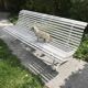 White metal Garden Bench and wooden slats 1970