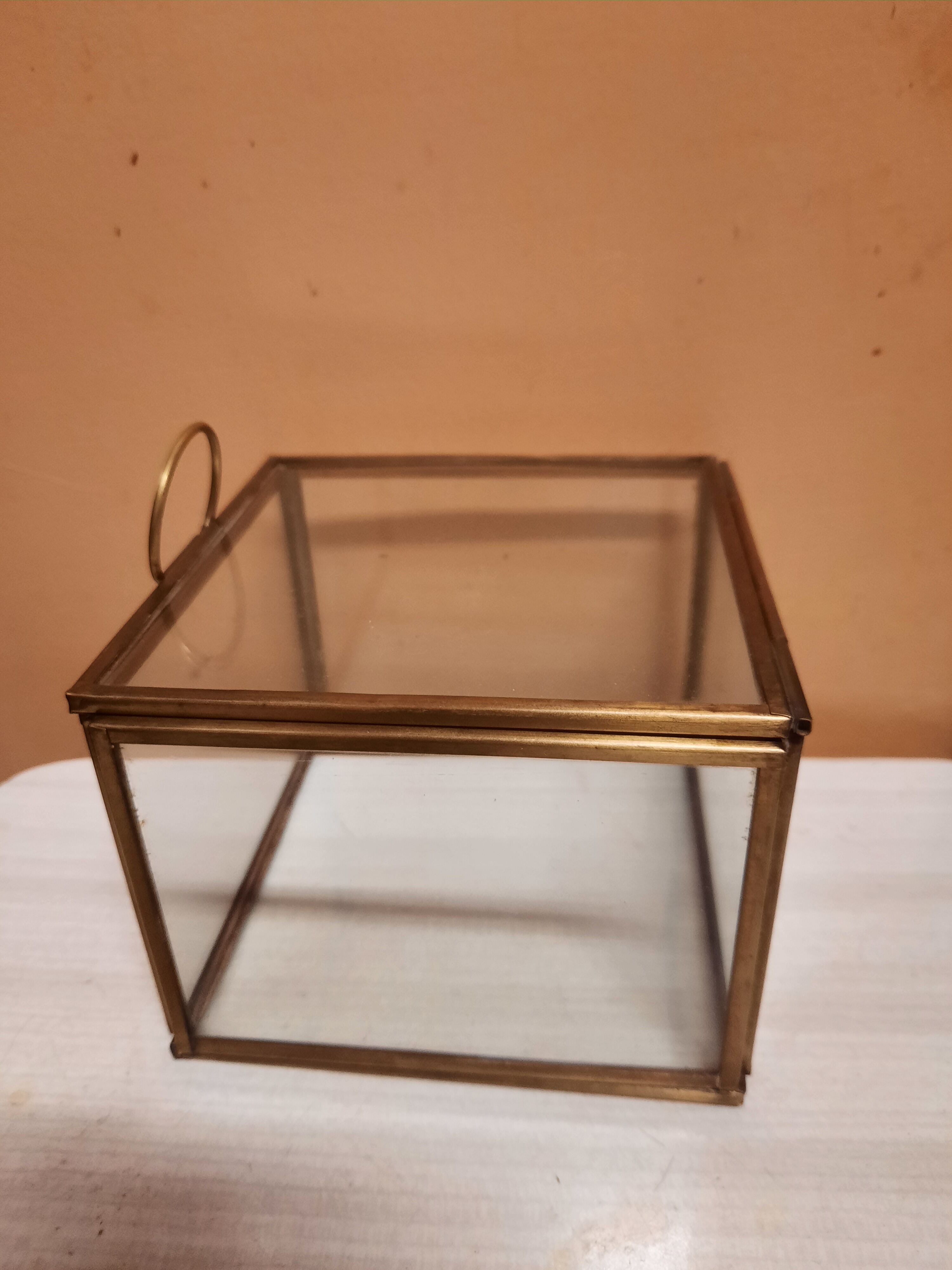 Glass and brass showcase box
