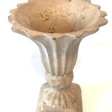 Pot