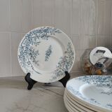 8 assiettes plates