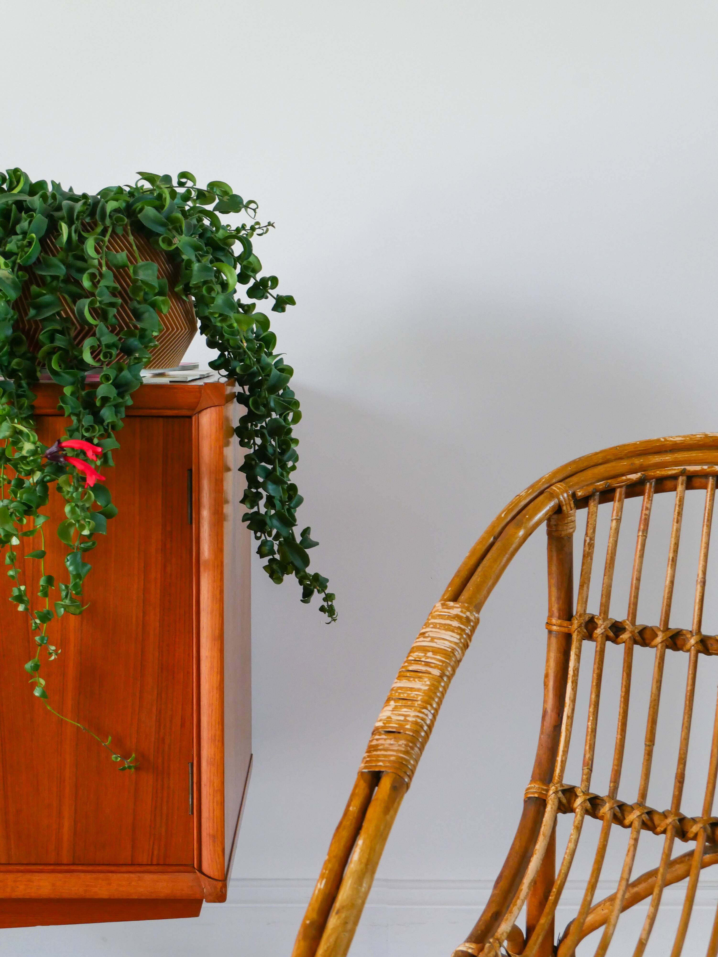 Shell armchair in rattan and bamboo, early 20th century