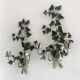 Pair of ivy wall lights