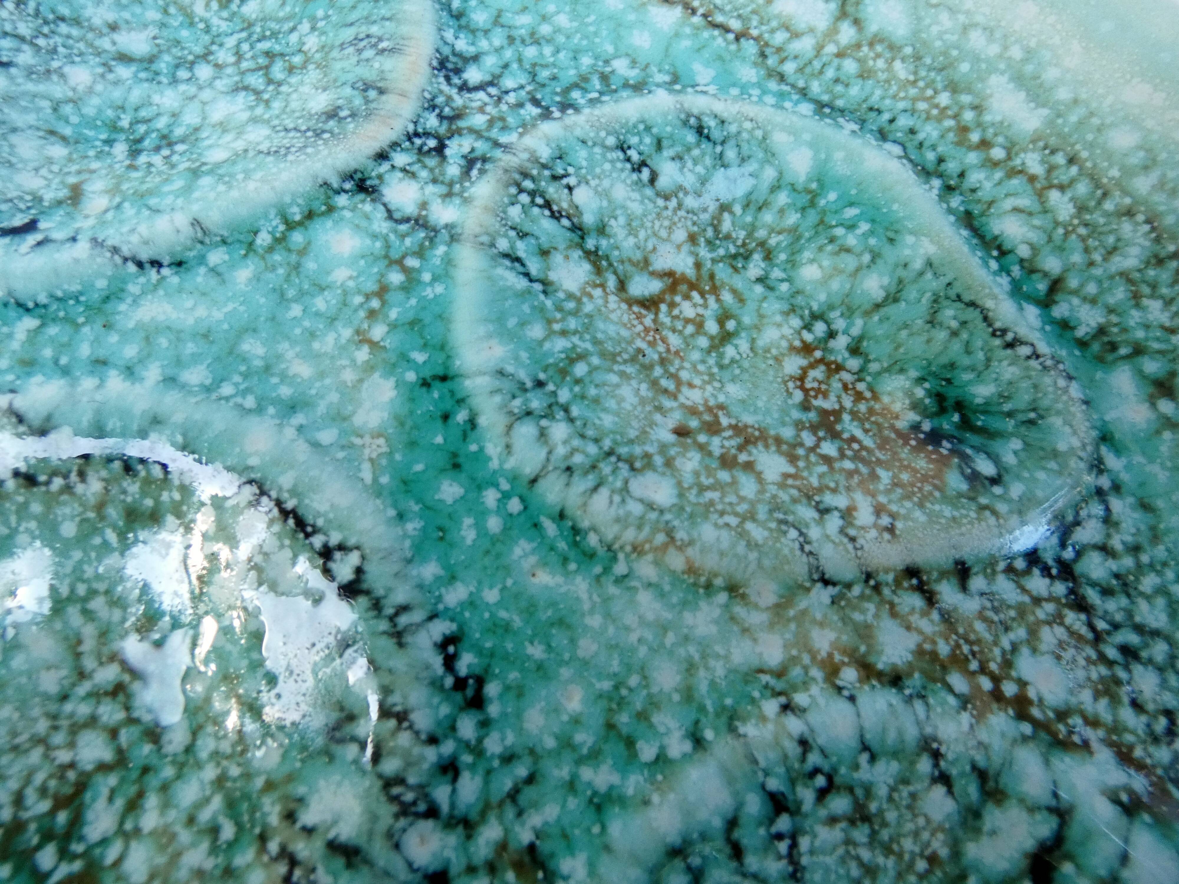 Turquoise ceramic oyster plate signed Niderviller model moss 1950 1960