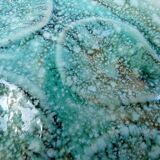 Turquoise ceramic oyster plate signed Niderviller model moss 1950 1960