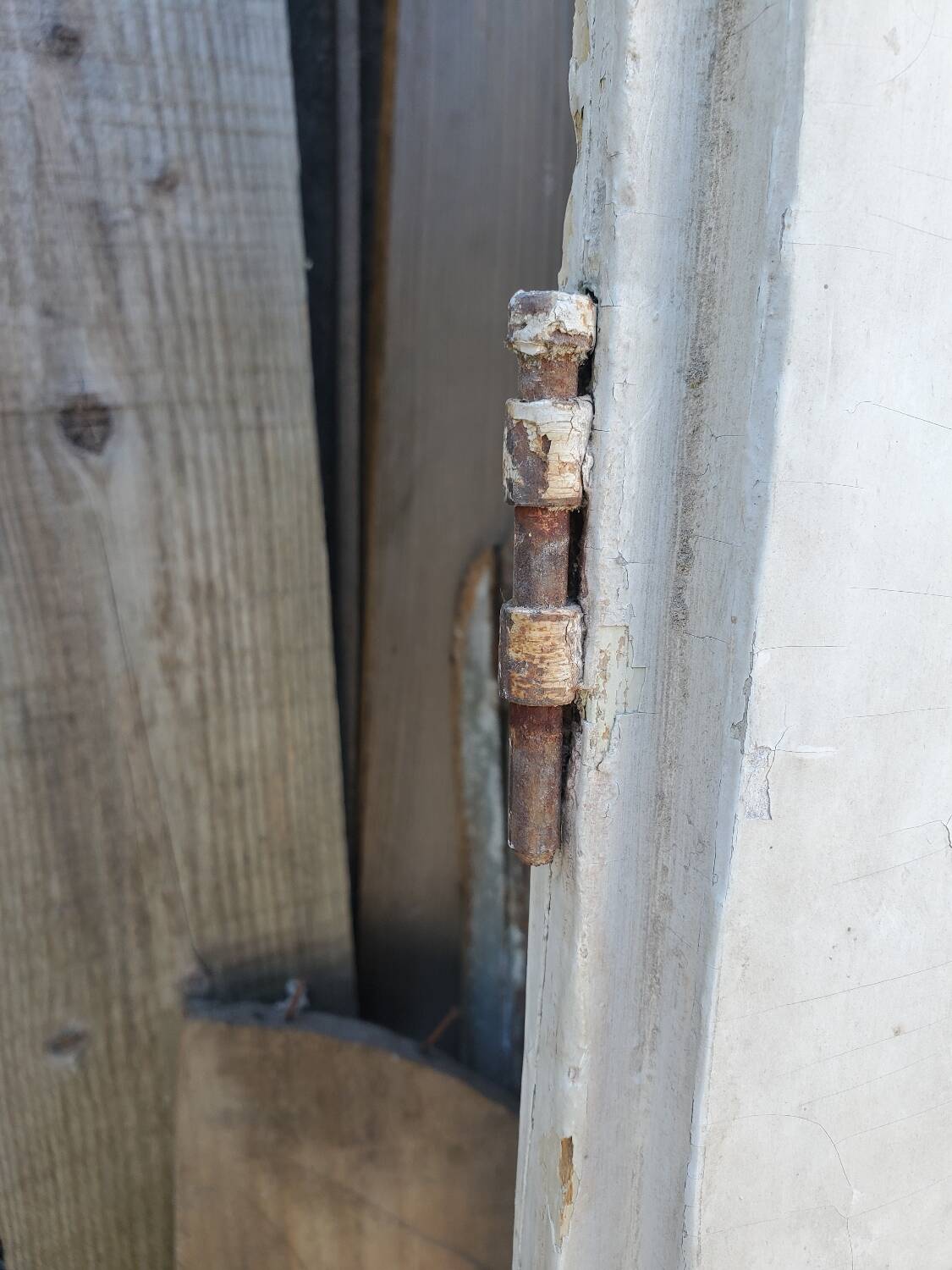 Old interior fir door