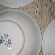 Lot 9 Deep Plates Porcelain Japan ARA S 933 Parrot & F Decor