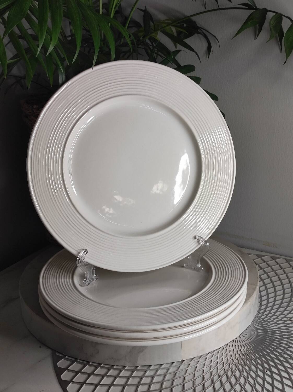 Vintage porcelain dinner plates