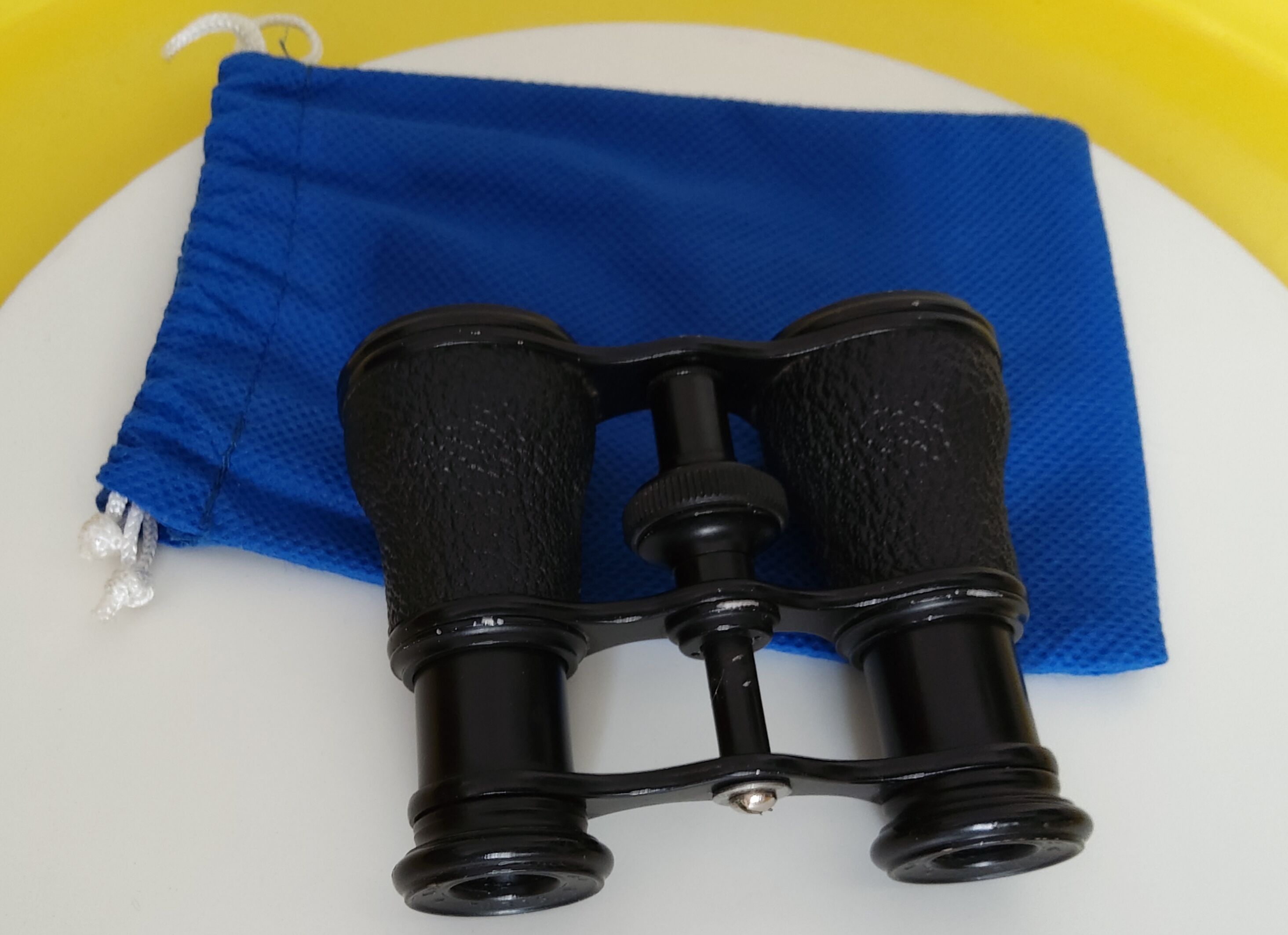 Pair of theater binoculars