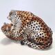 Hand Painted Ceramic Pair of Fighting Jaguars by Giovanni Ronzan, Italy